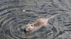 Ausflug Ruheständler ins Elsass